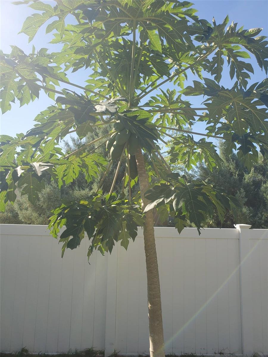 Image 51 of 53 For 4816 Barbados Loop