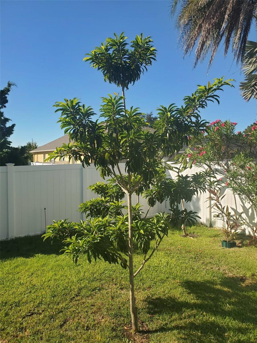 Image 52 of 53 For 4816 Barbados Loop