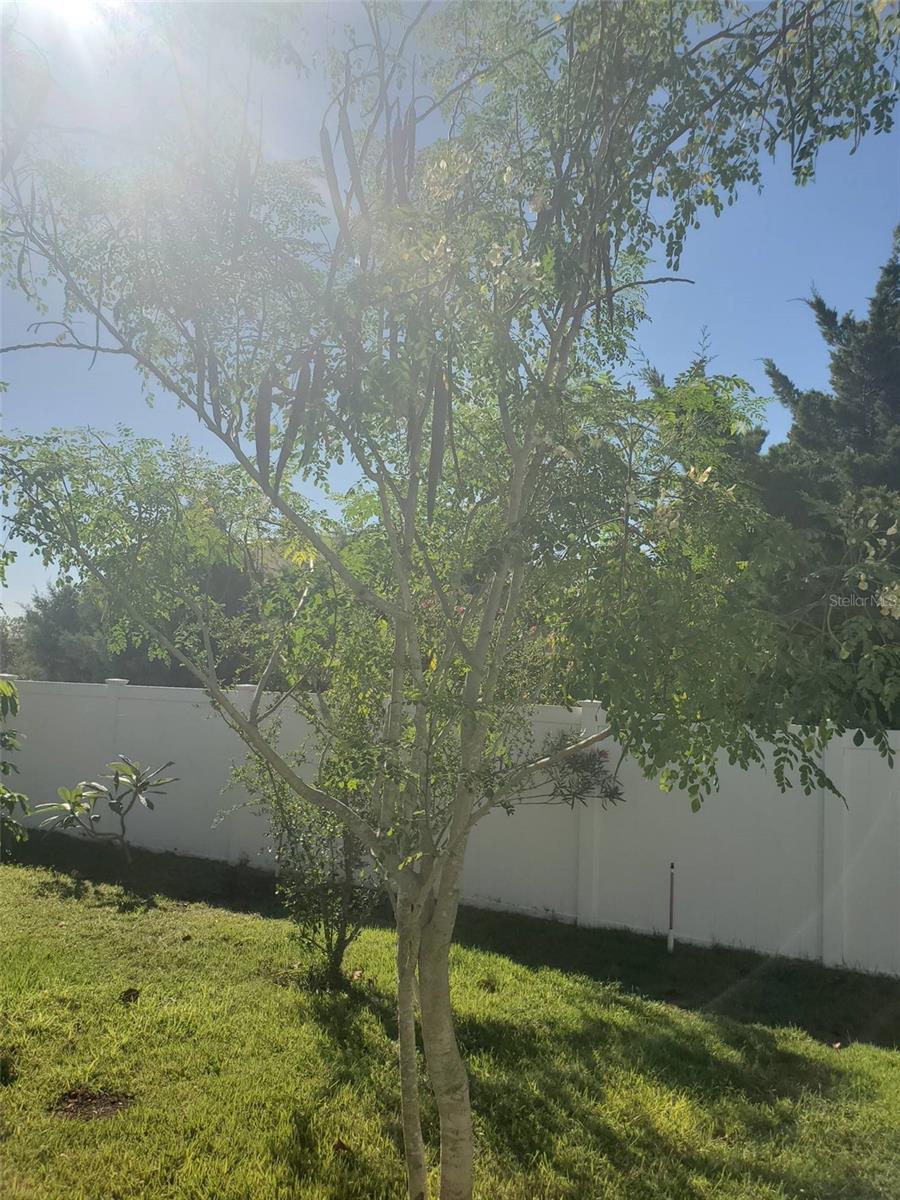 Image 53 of 53 For 4816 Barbados Loop