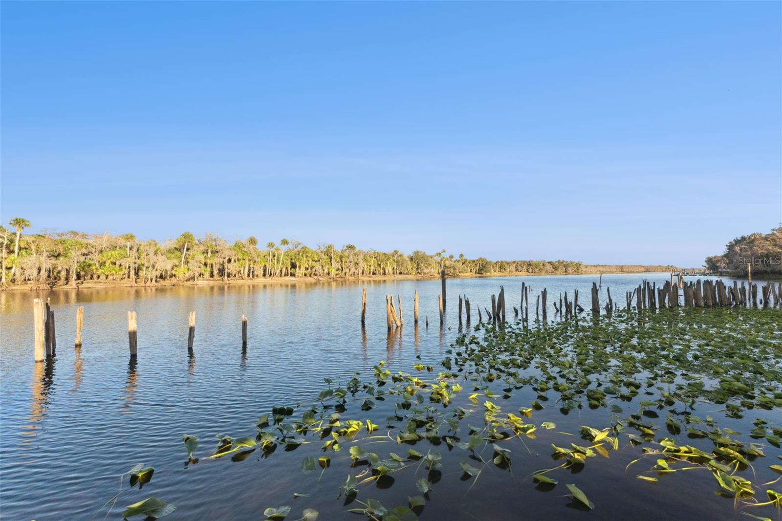 Image 58 of 93 For 2565 Osceola Road