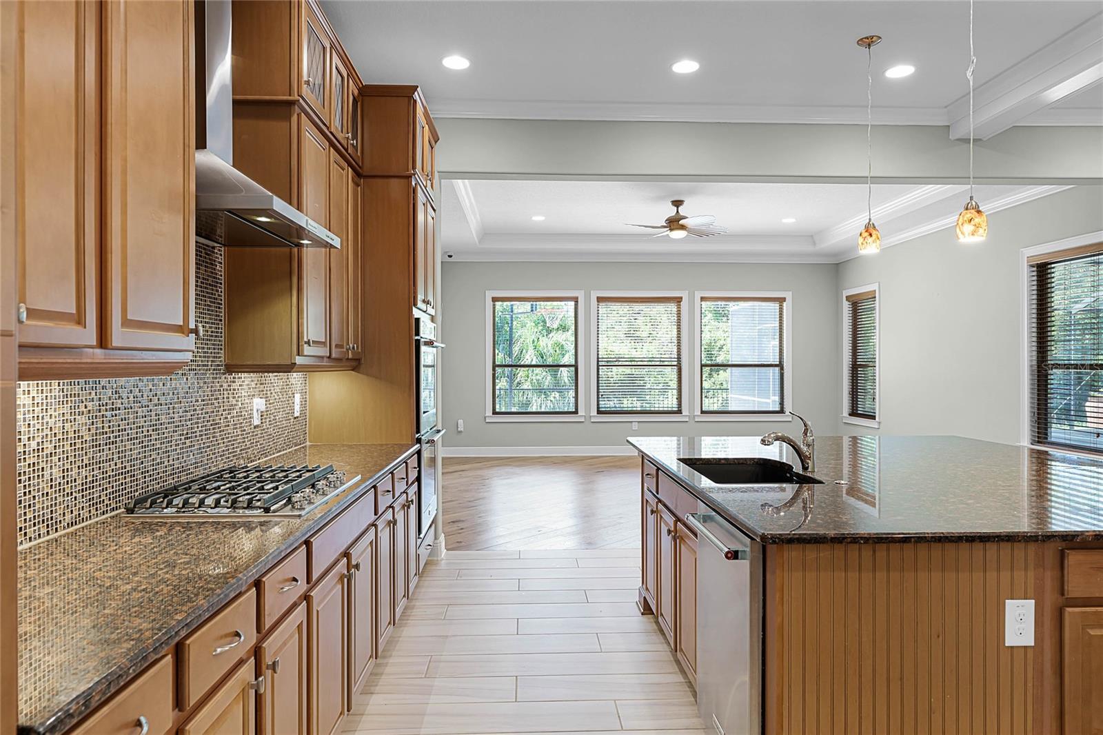 Image 7 of 62 For 15216 Johns Lake Pointe Boulevard