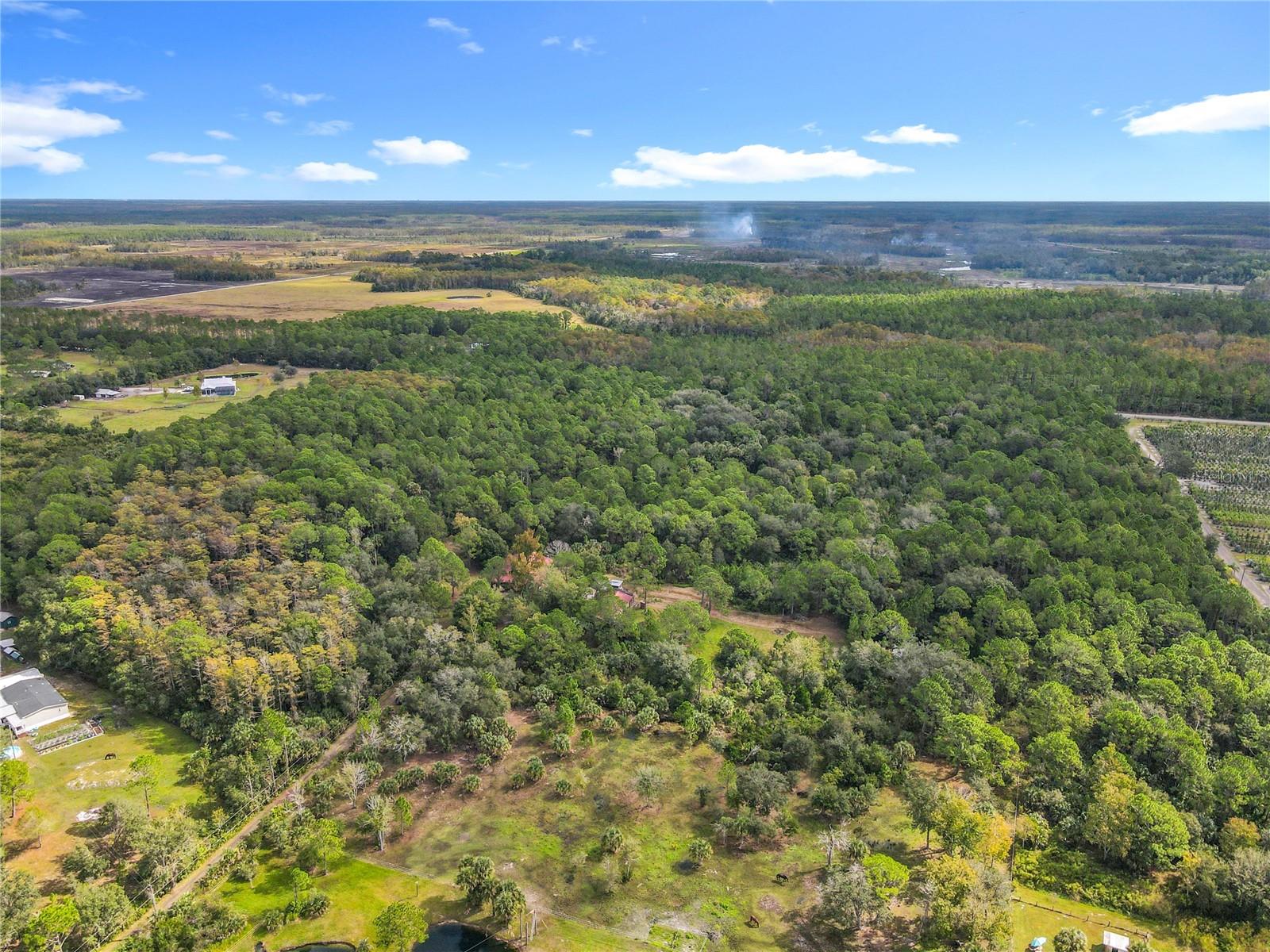 Image 73 of 82 For 1560 Saddle Run Drive