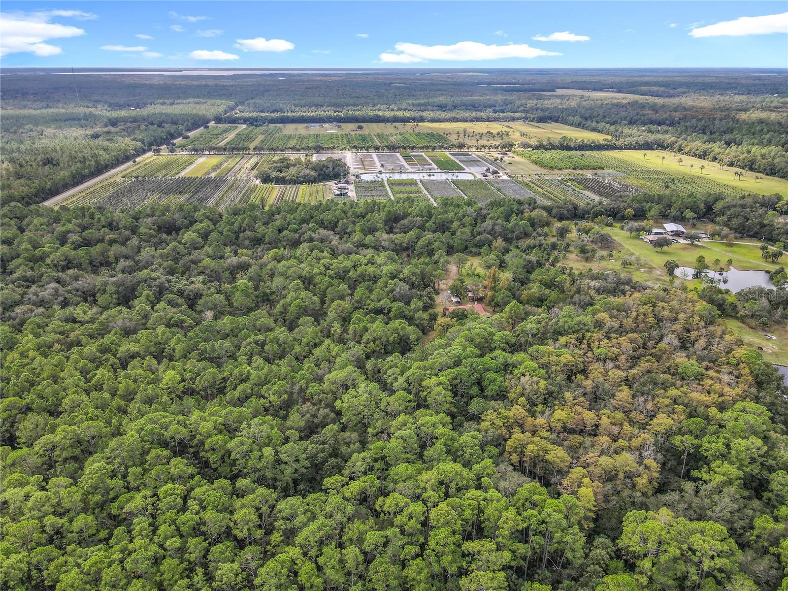 Image 79 of 82 For 1560 Saddle Run Drive