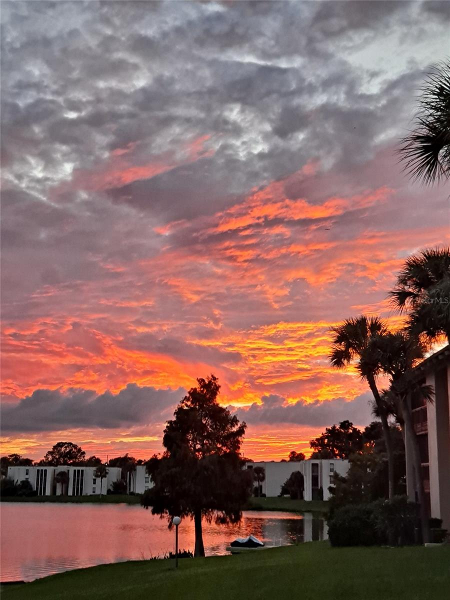 Image 35 of 36 For 550 Orange Drive 5