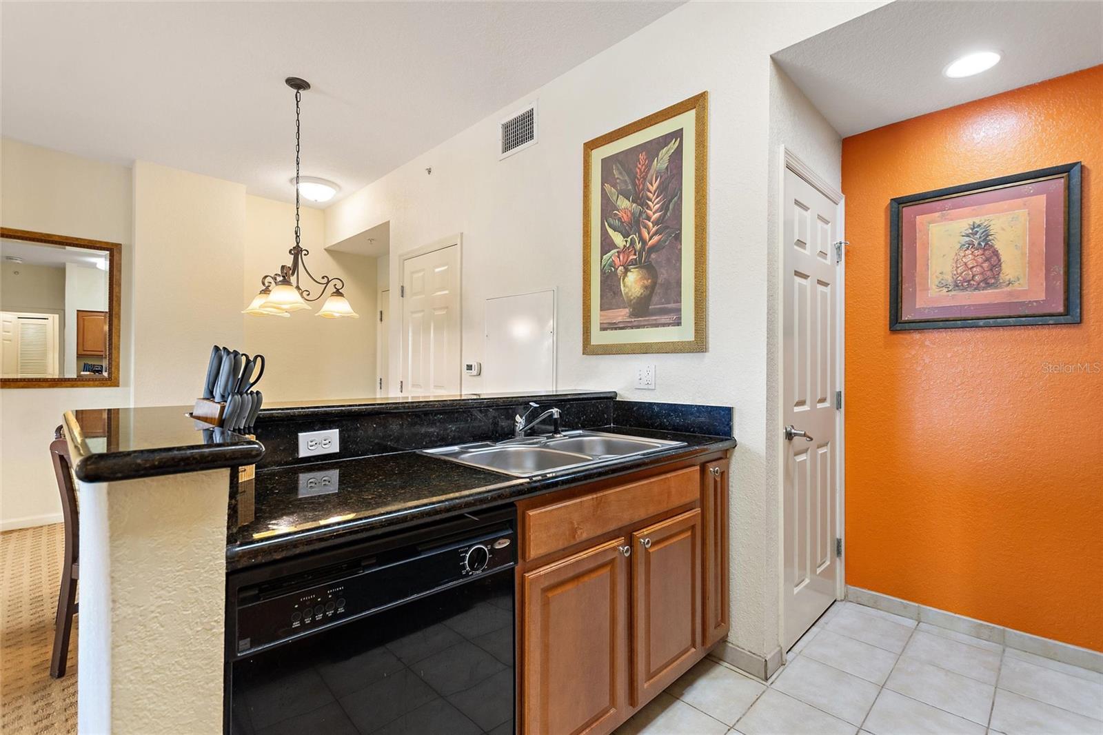 Image 54 of 66 For 8100 Resort Vlg Drive 2204