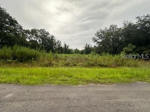 Details for 207 Starling Court, POINCIANA, FL 34759