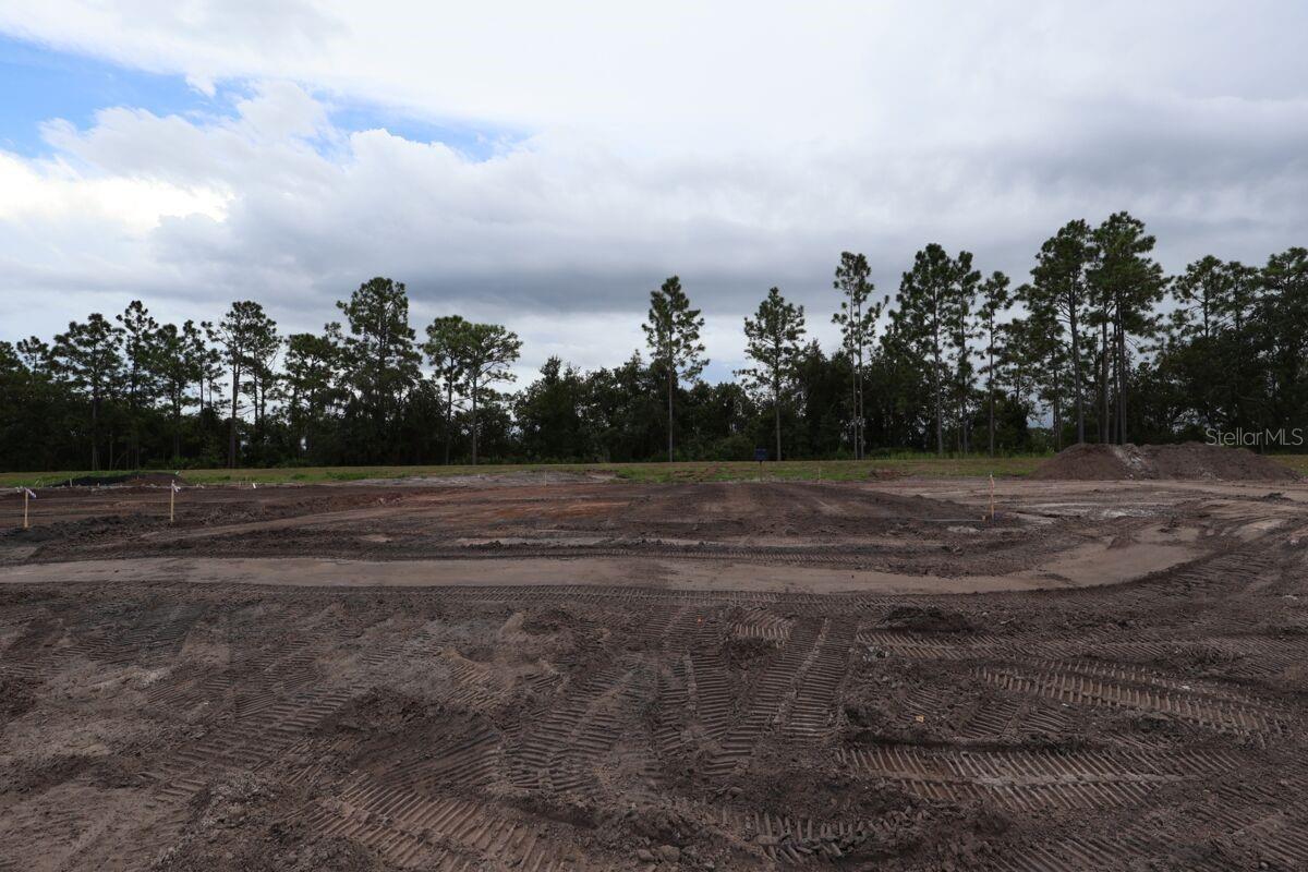 Image 8 of 11 For 5178 Prairie Preserve Run