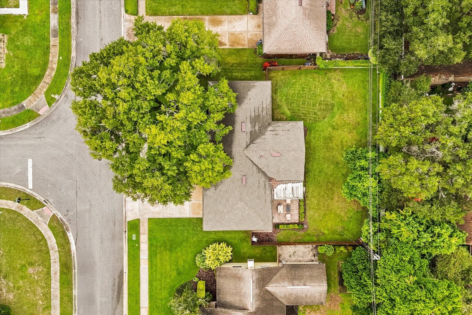 Image 26 of 28 For 517 Mason Street