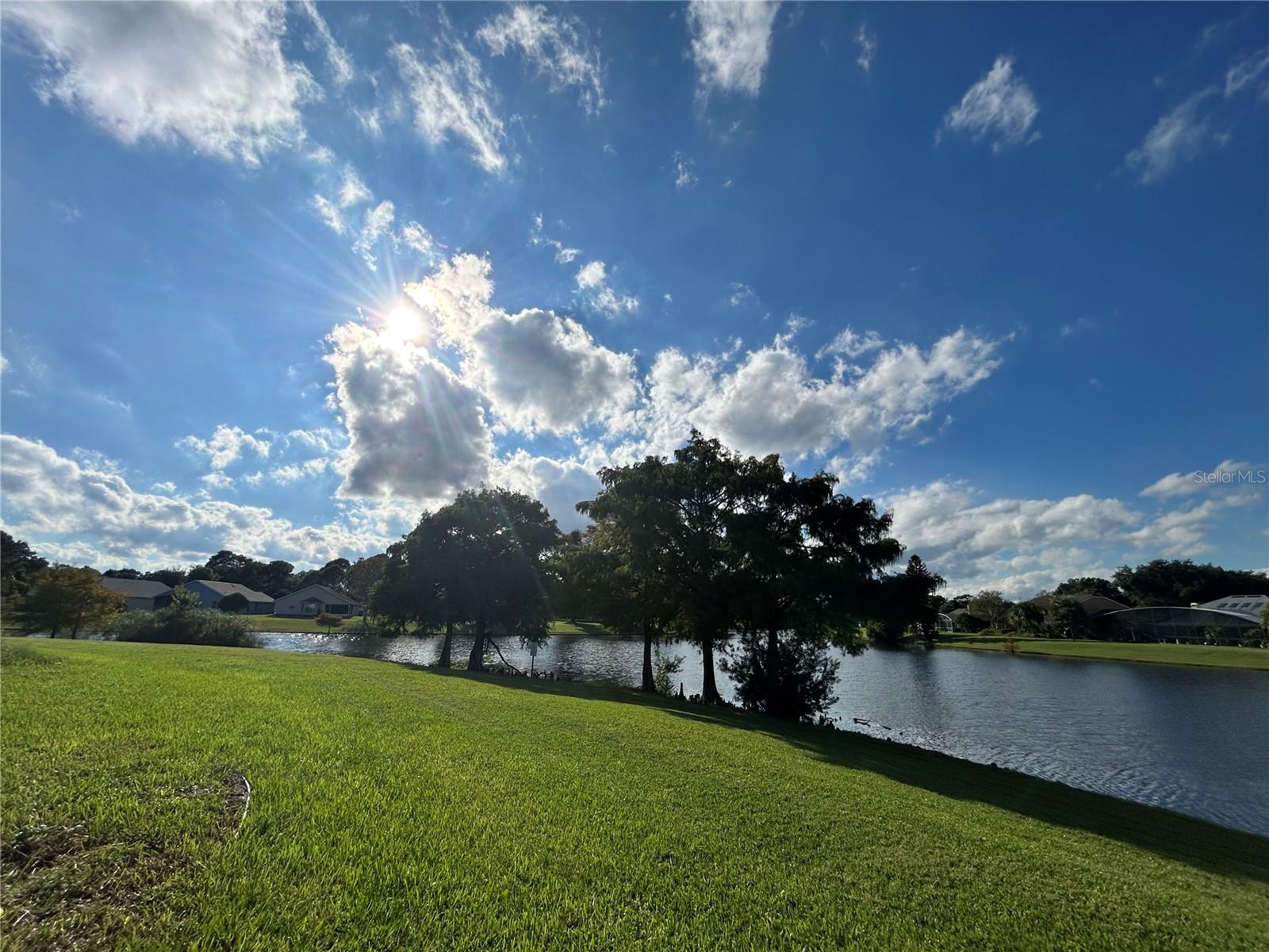 Image 68 of 80 For 12801 Ben Rogers Court