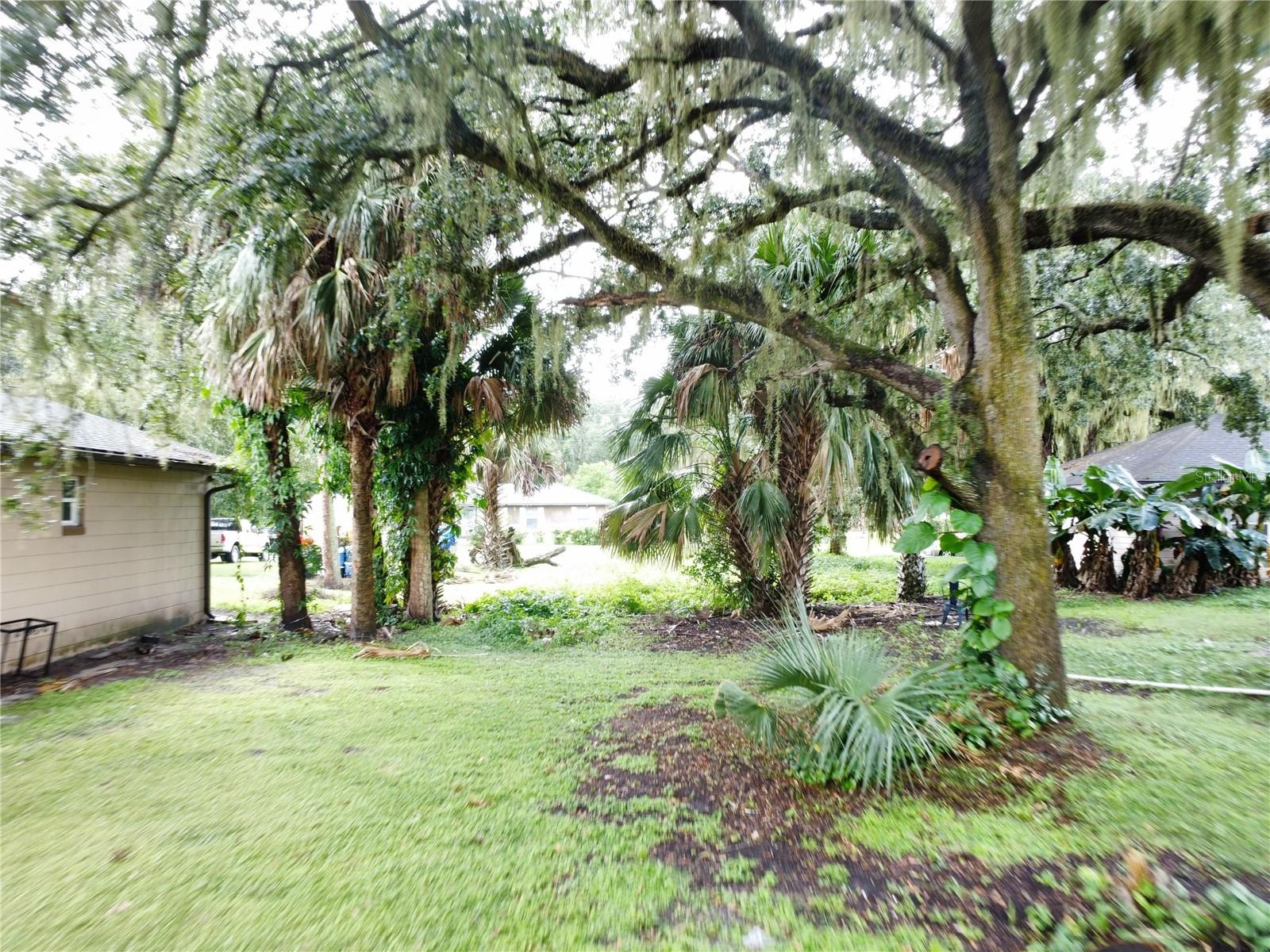 Image 9 of 35 For 188 Mary Street