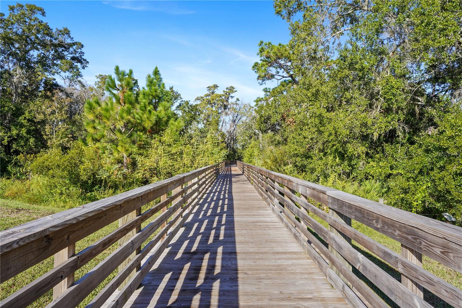 Listing photo id 58 for 11632 Paragraph Road