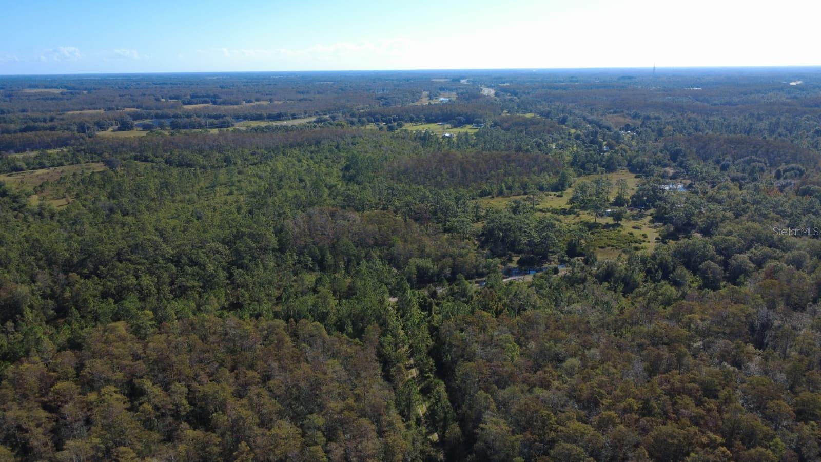 Image 13 of 18 For 0 Cypress Creek Ranch Road