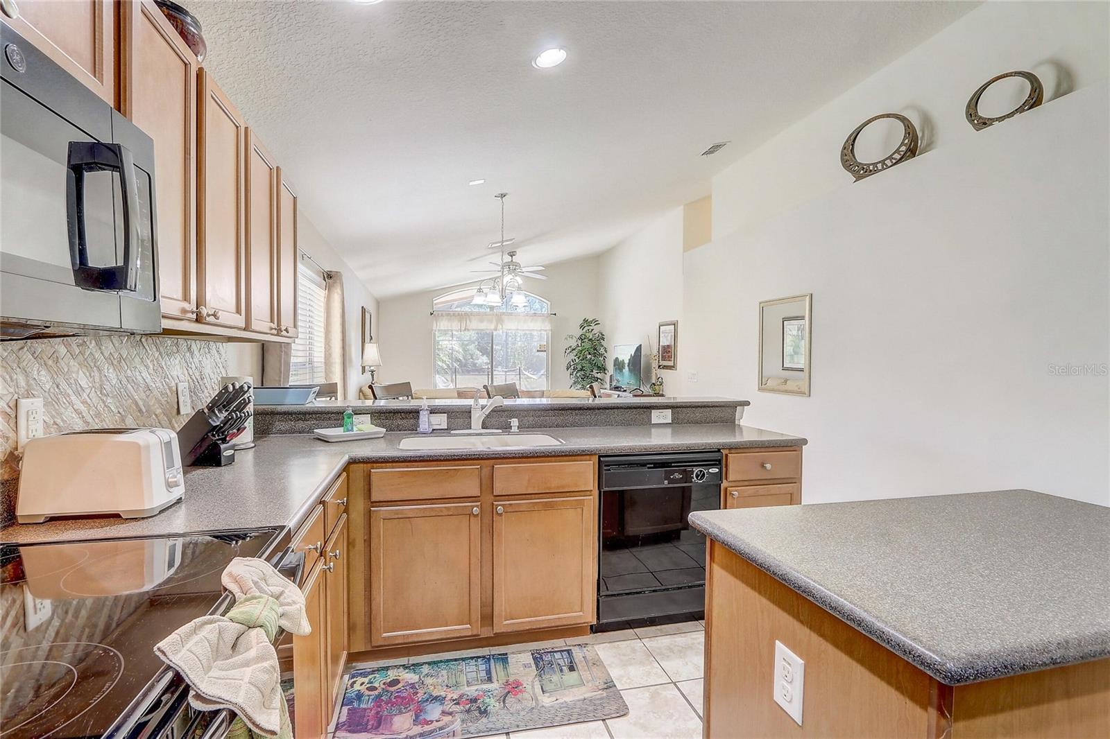 Image 14 of 43 For 927 Orange Cosmos Boulevard