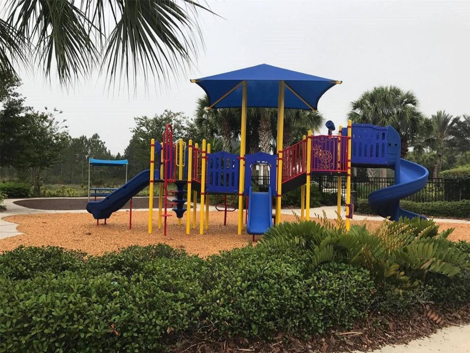 Image 38 of 43 For 927 Orange Cosmos Boulevard