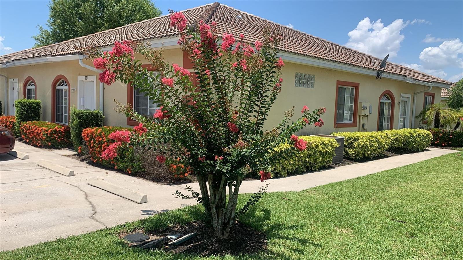 Details for 361 Port Pleasant Drive, KISSIMMEE, FL 34759