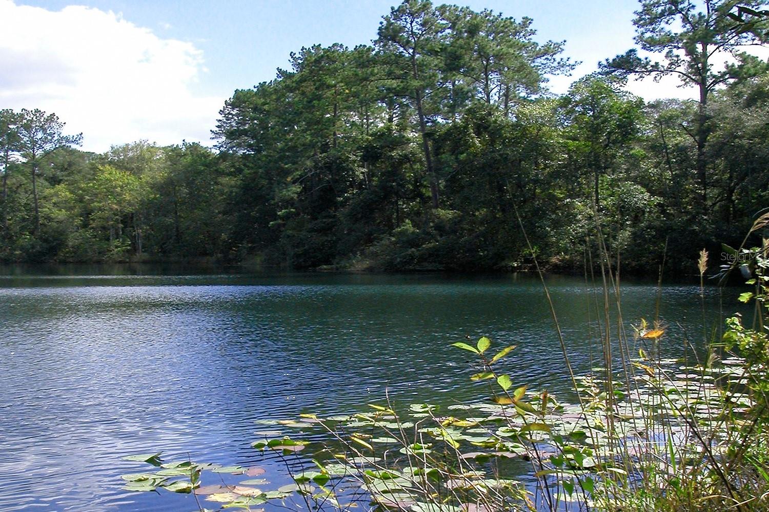 Image 11 of 12 For 114 Dave Street