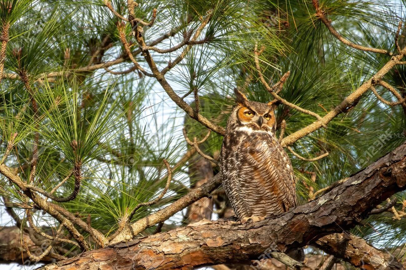 Image 8 of 12 For 114 Dave Street