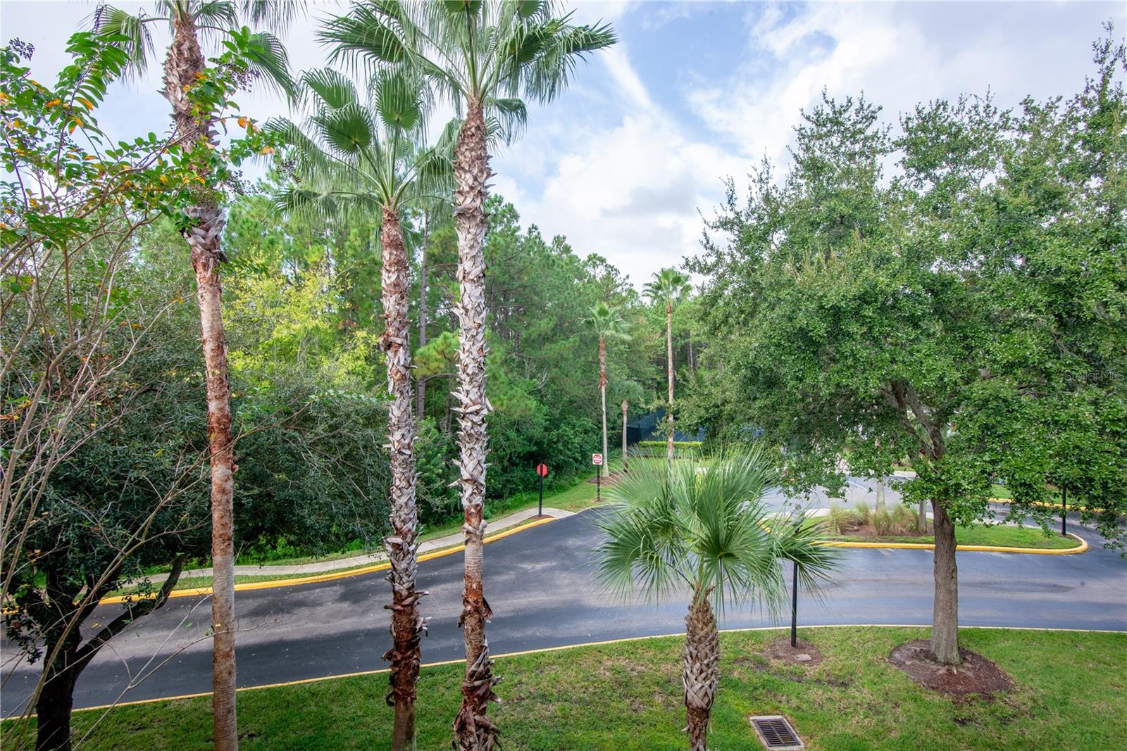 Image 29 of 41 For 3611 Conroy Road 834