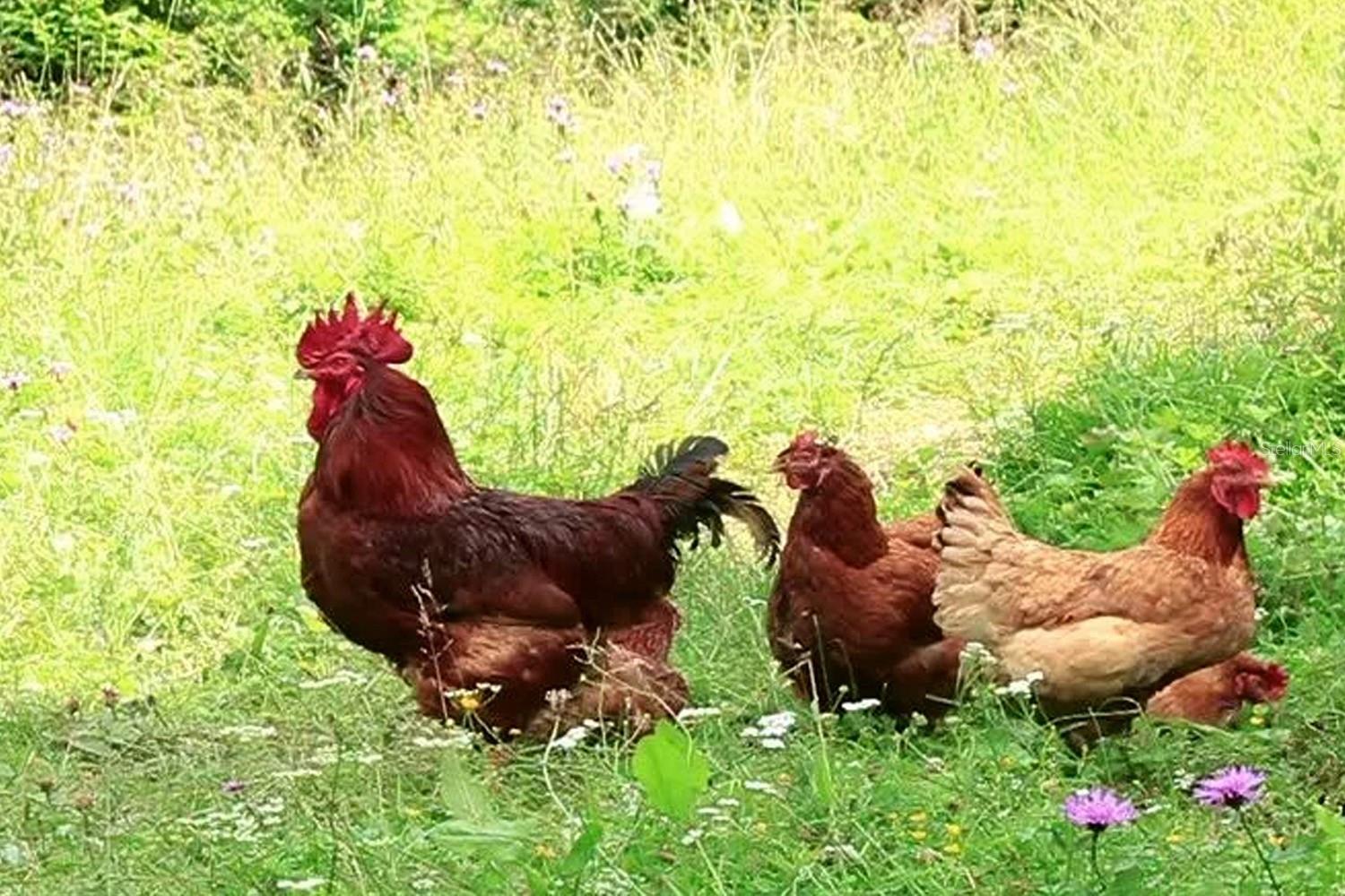 Image 10 of 18 For 210 1st Street