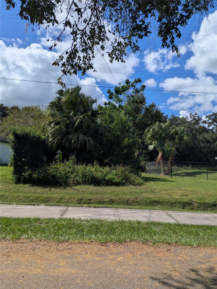 Details for Holly Street, MOUNT DORA, FL 32757