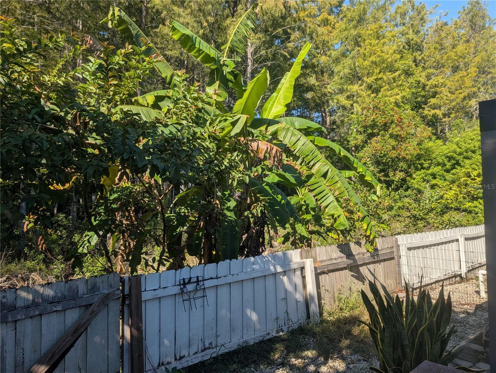 Image 25 of 73 For 12516 Greco Drive