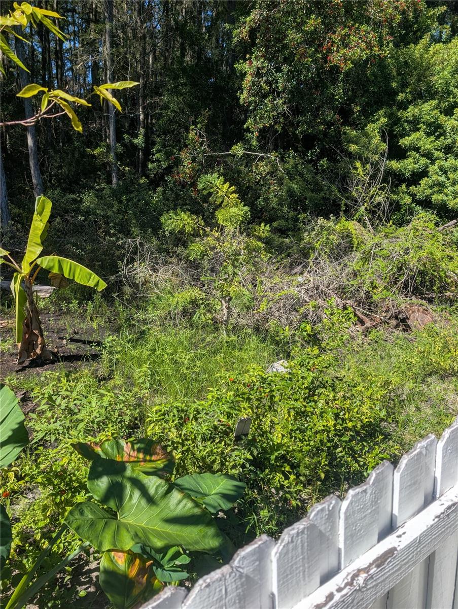 Image 26 of 73 For 12516 Greco Drive