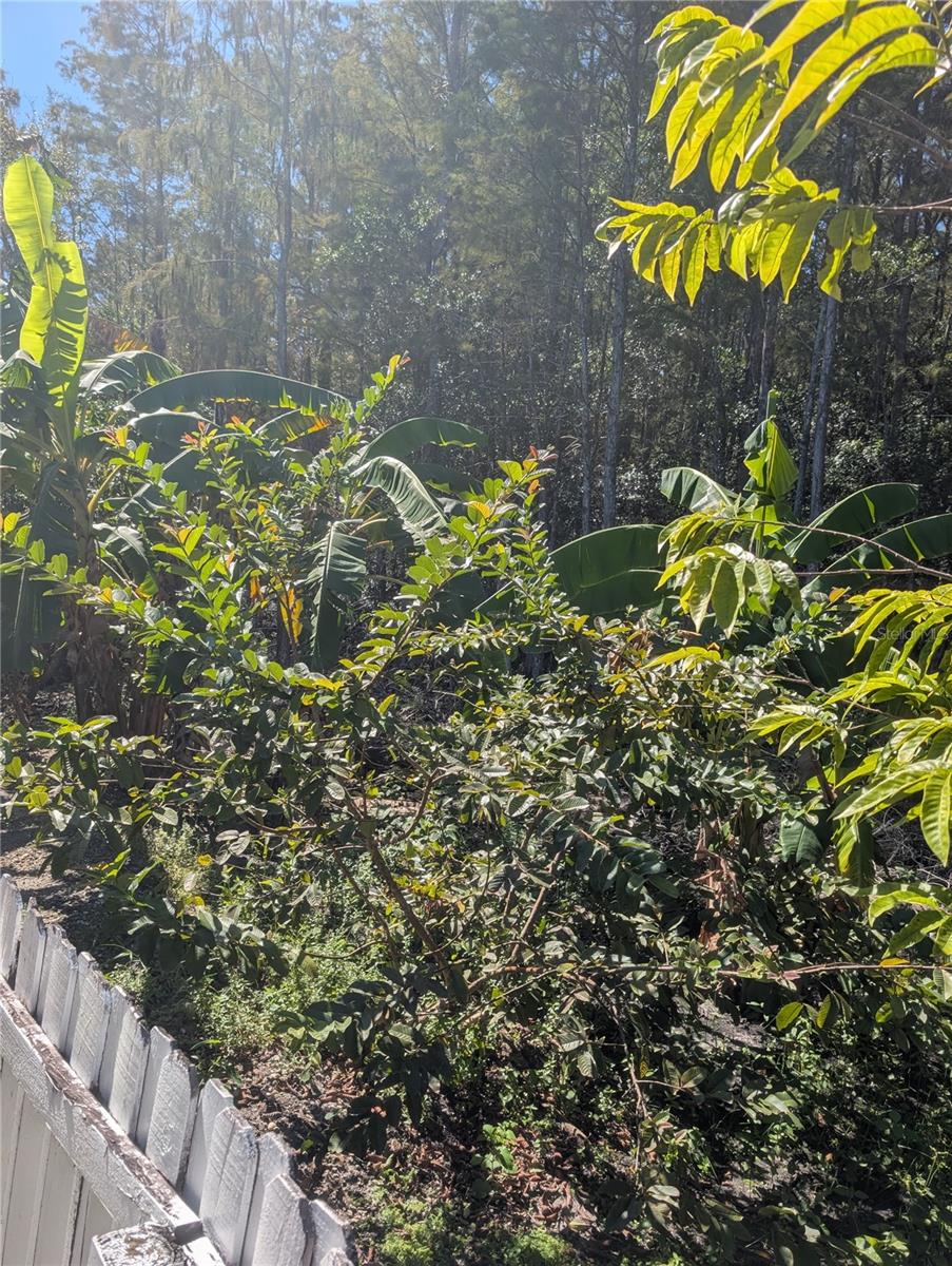 Image 27 of 73 For 12516 Greco Drive