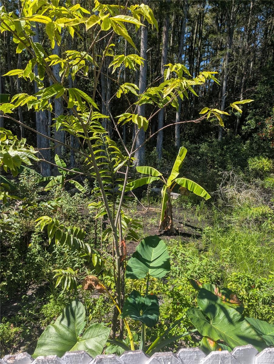 Image 28 of 73 For 12516 Greco Drive