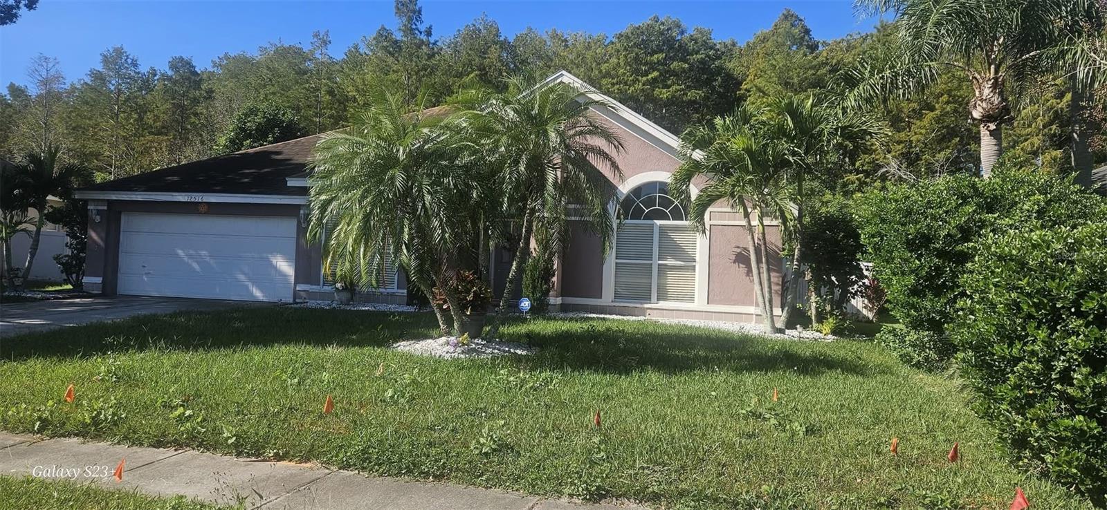 Image 3 of 73 For 12516 Greco Drive