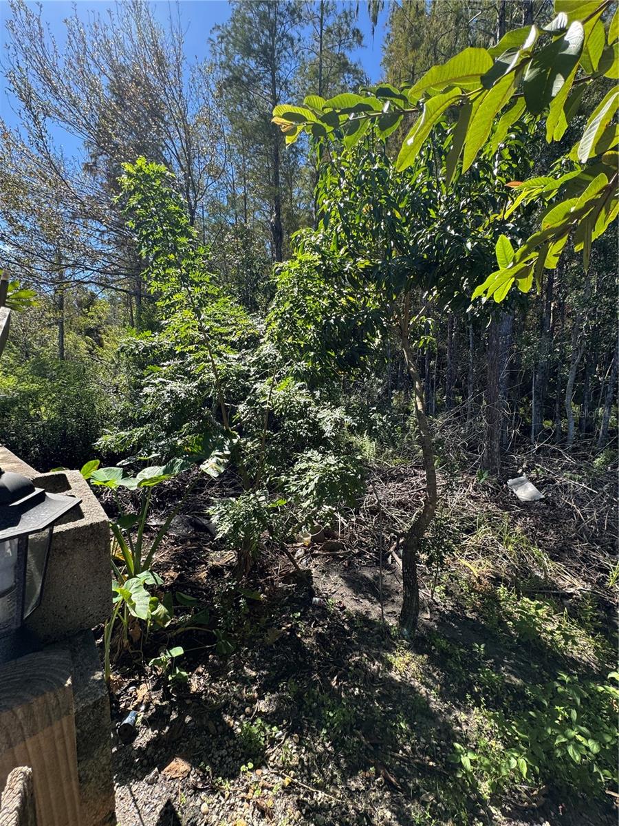 Image 30 of 73 For 12516 Greco Drive