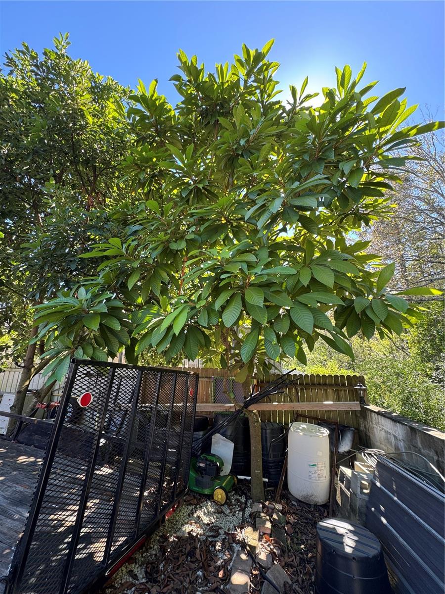 Image 31 of 73 For 12516 Greco Drive