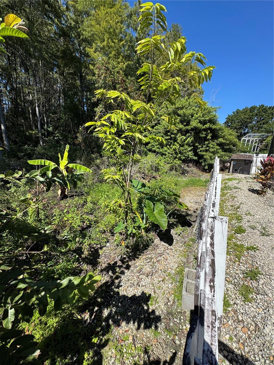 Image 33 of 73 For 12516 Greco Drive