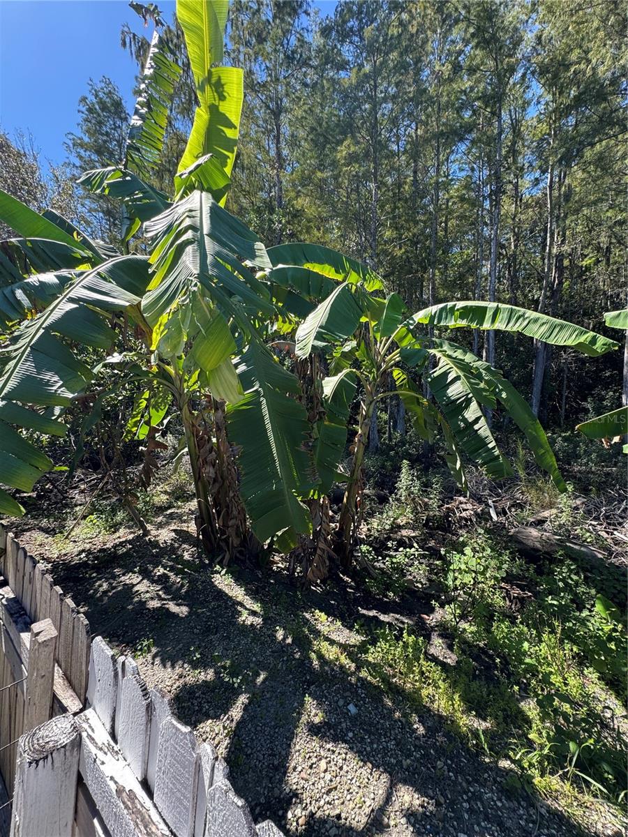 Image 34 of 73 For 12516 Greco Drive