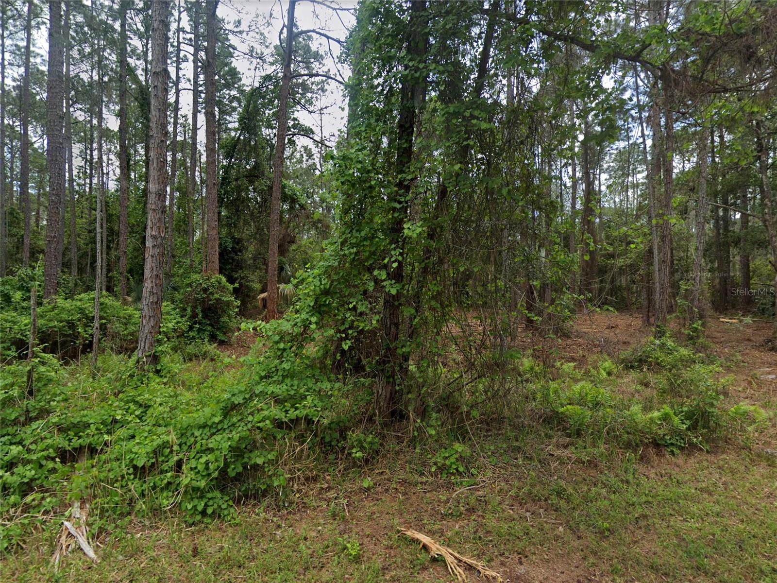 Image 3 of 15 For 218 1st Street