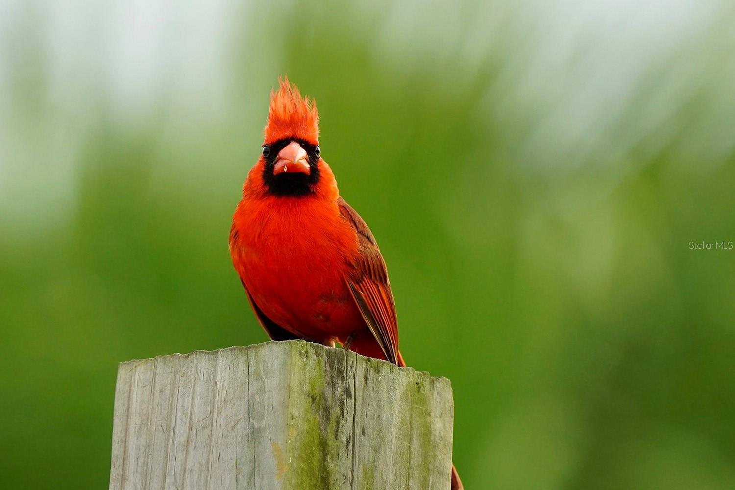 Image 5 of 15 For 218 1st Street