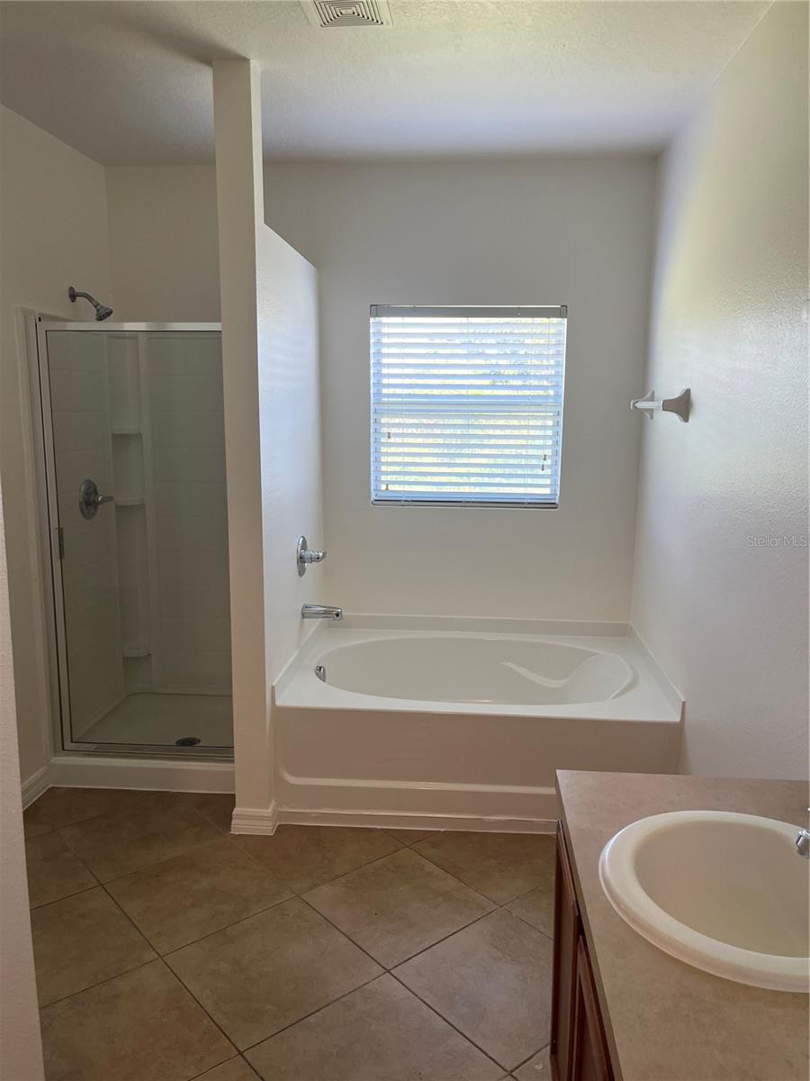 Image 11 of 15 For 3058 Dasha Palm Drive