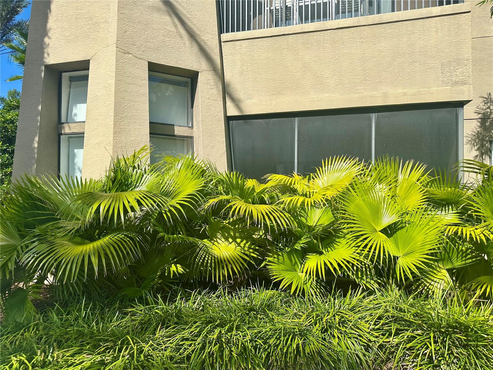 Image 28 of 44 For 14501 Grove Resort Avenue 2101