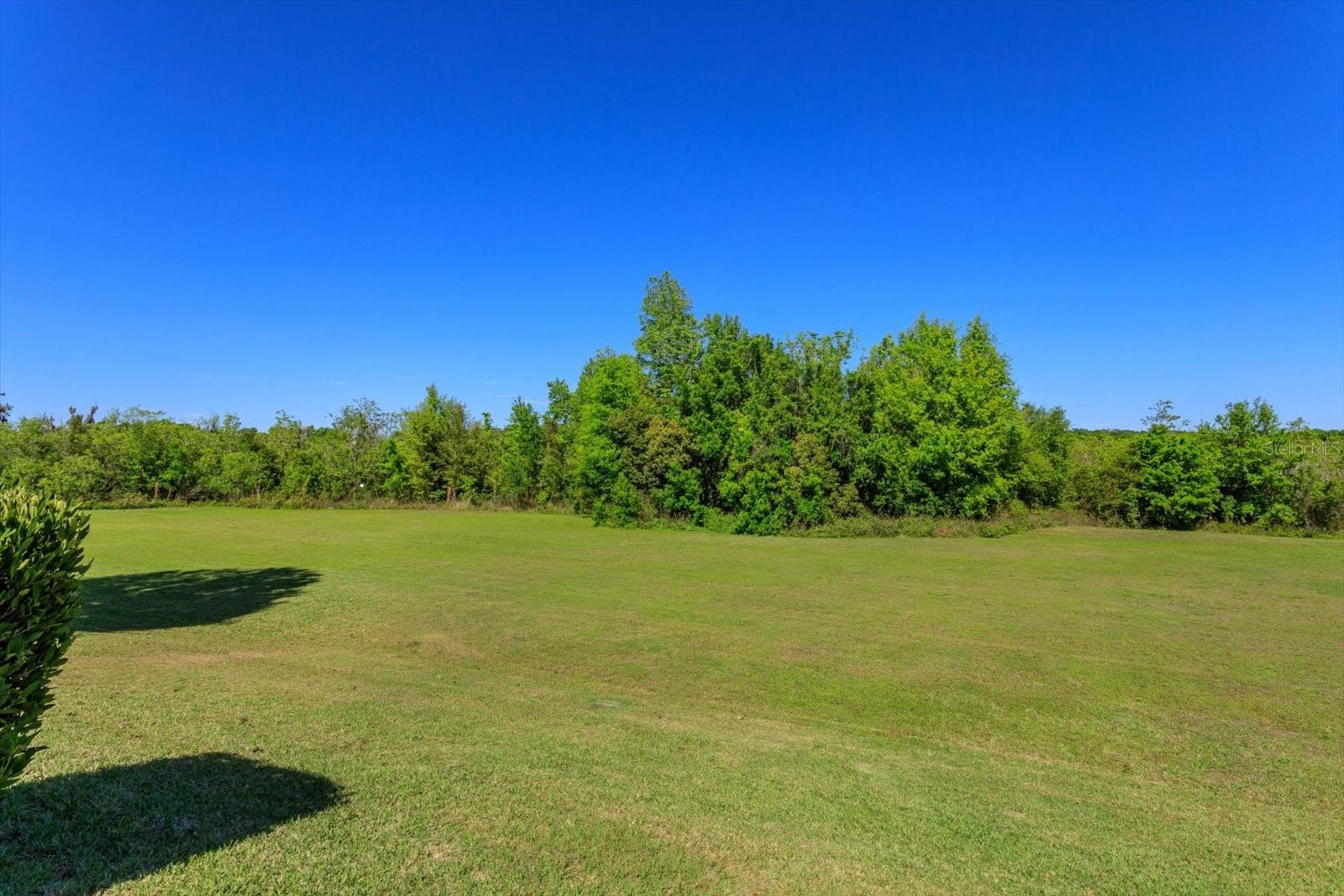 Image 25 of 26 For 2415 Sabastian Street