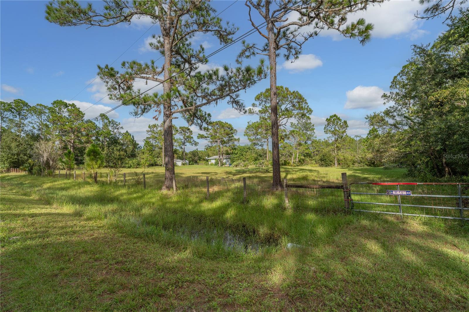 Image 5 of 14 For 785 Harney Heights Road