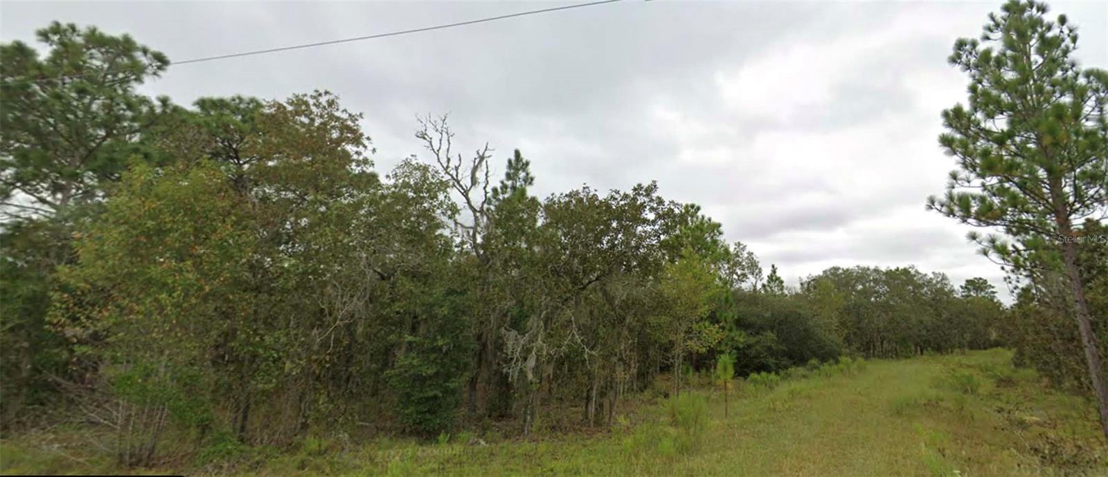 Details for  151 Terrace , WILLISTON, FL 32696