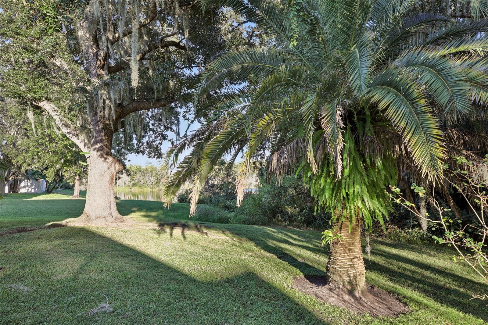 Image 47 of 60 For 6767 Cherry Grove Cir