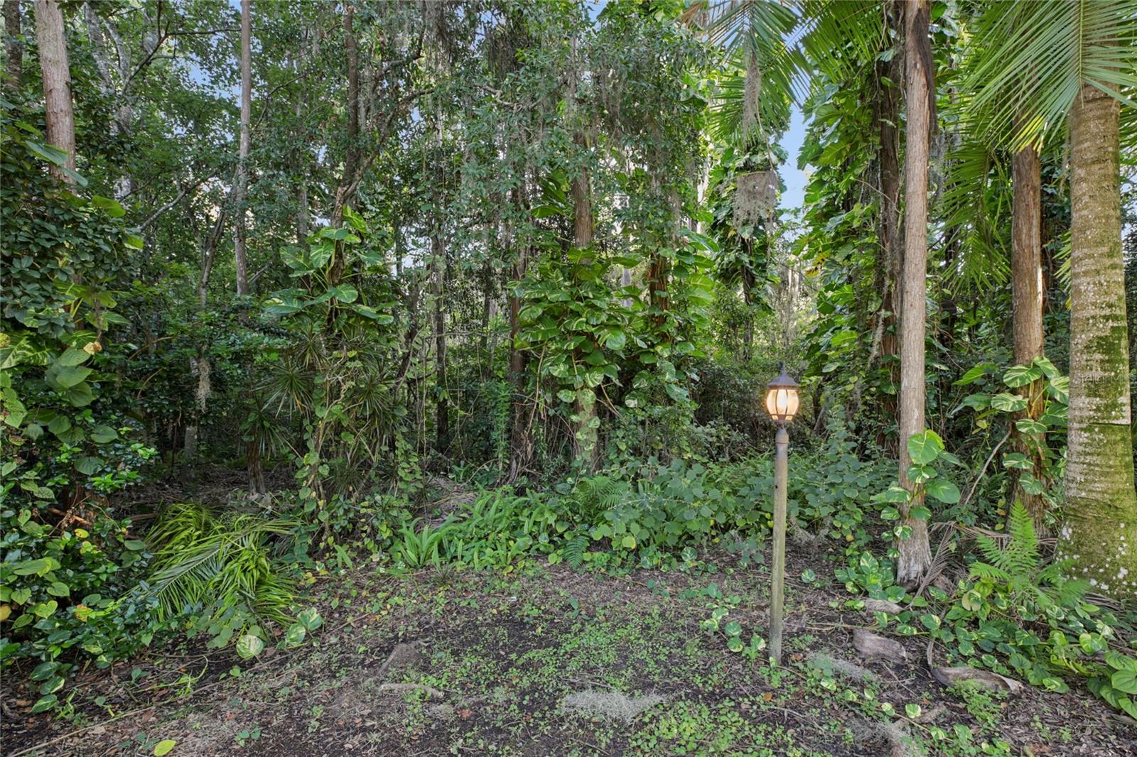 Image 48 of 60 For 6767 Cherry Grove Cir