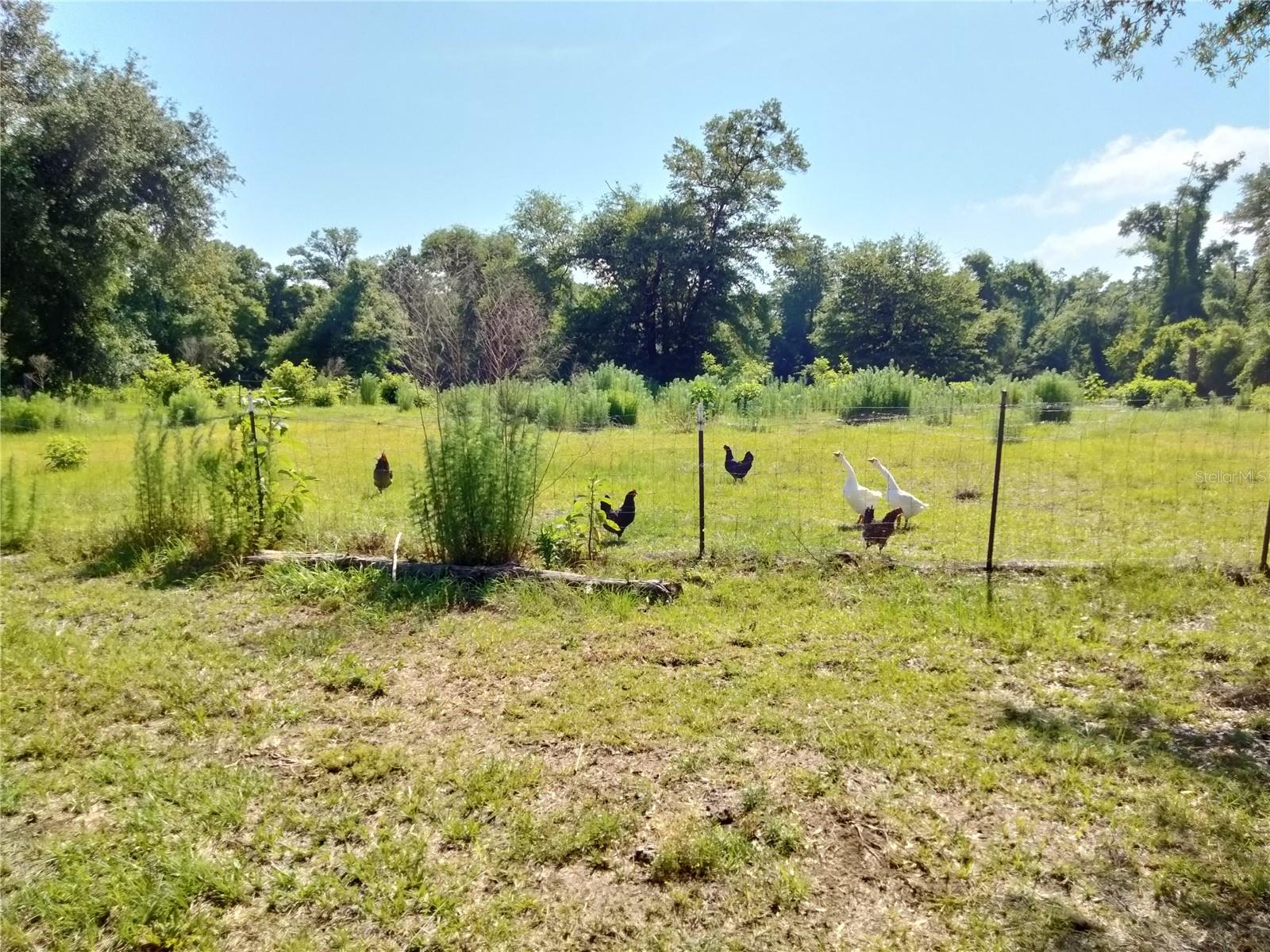 Image 5 of 27 For 3990 Whispering Pines Circle