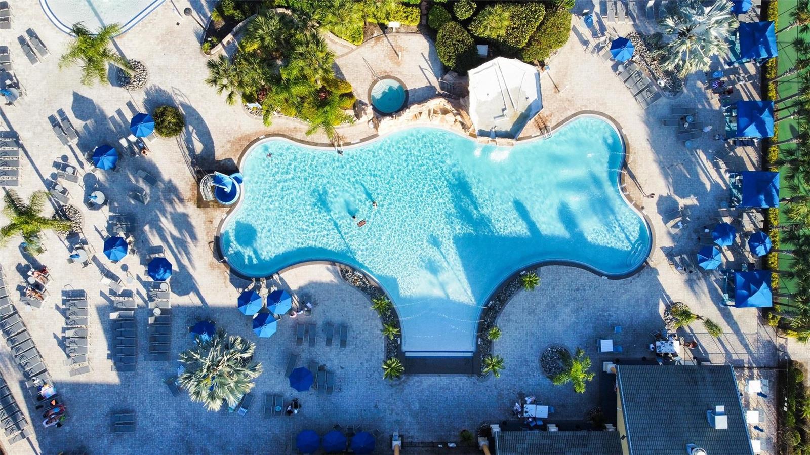 Image 43 of 49 For 8925 Sugar Palm Road