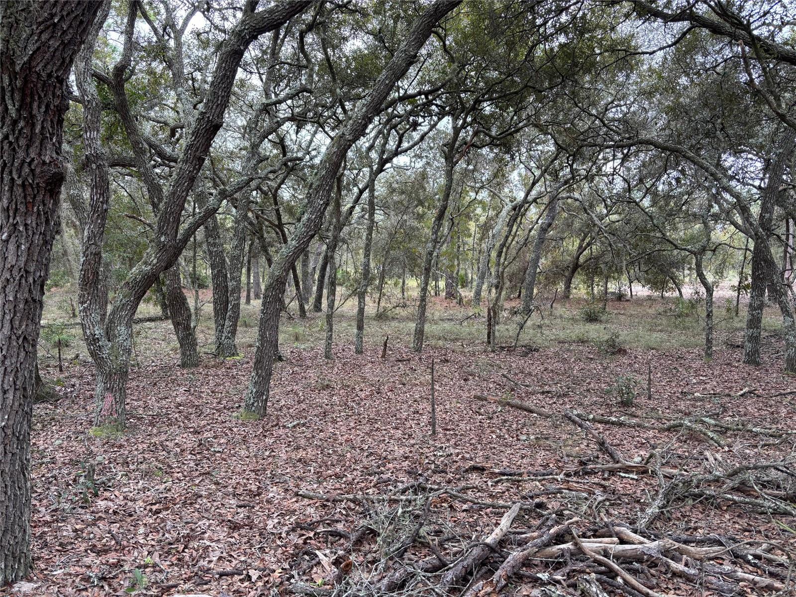 Image 2 of 2 For  63rd Lane 