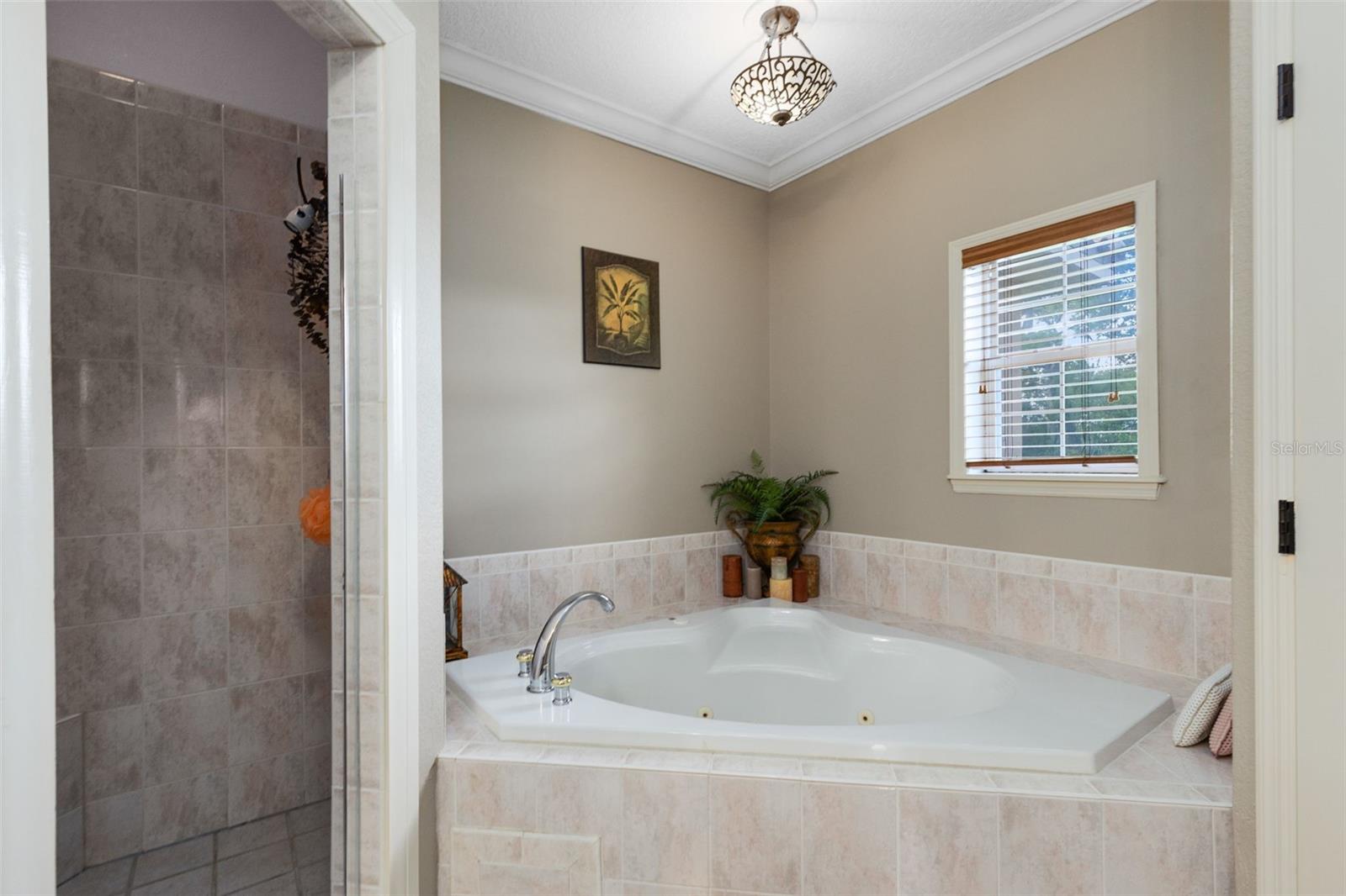 Image 26 of 67 For 1033 Oxford Street