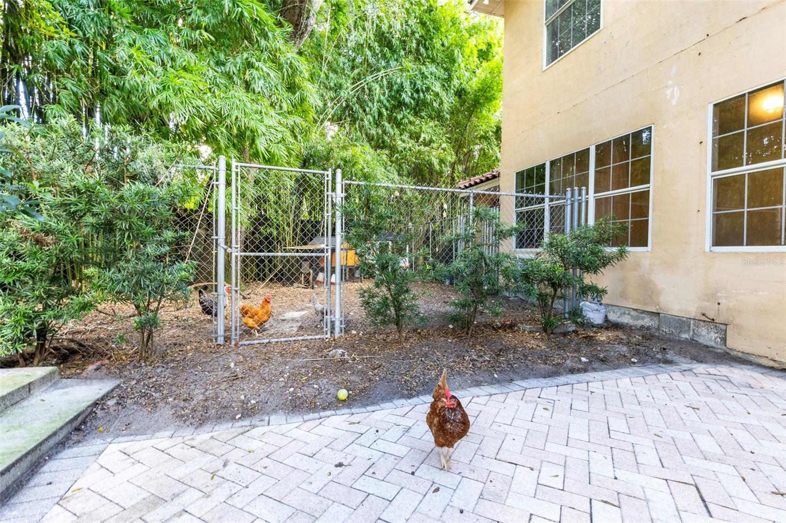 Image 42 of 67 For 1033 Oxford Street