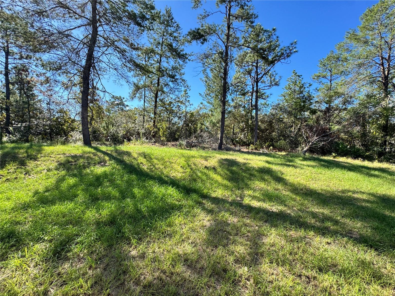 Image 38 of 38 For 3872 Baton Lane