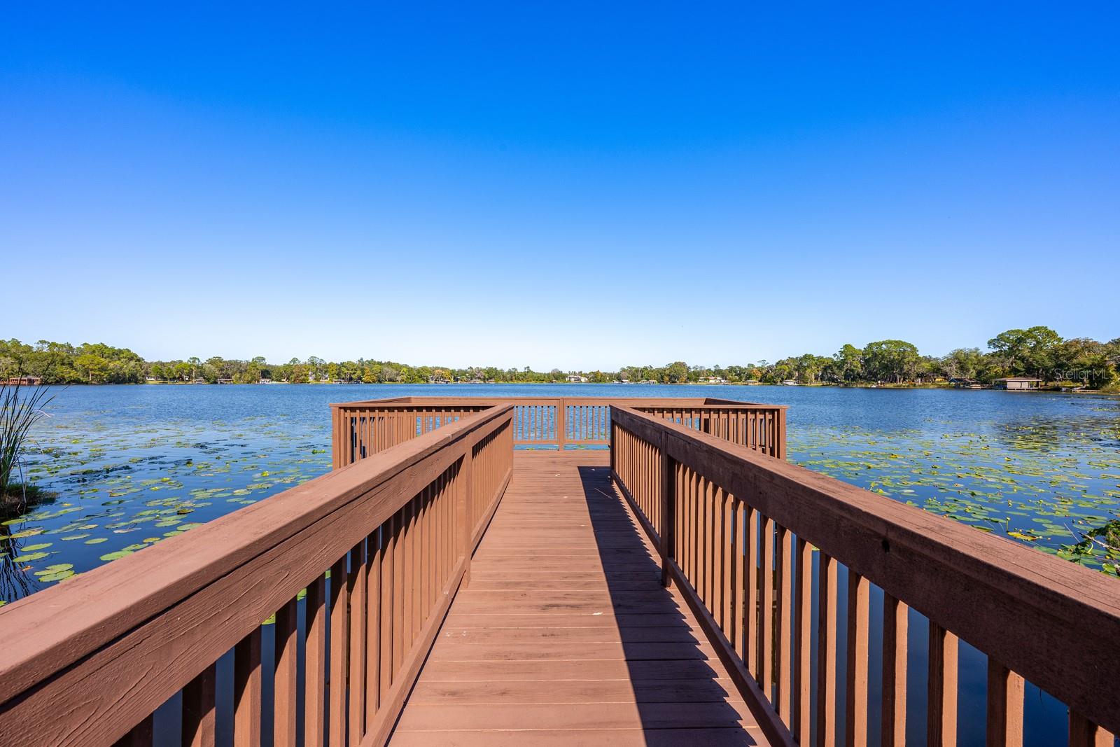 Image 39 of 40 For 9501 Holbrook Drive