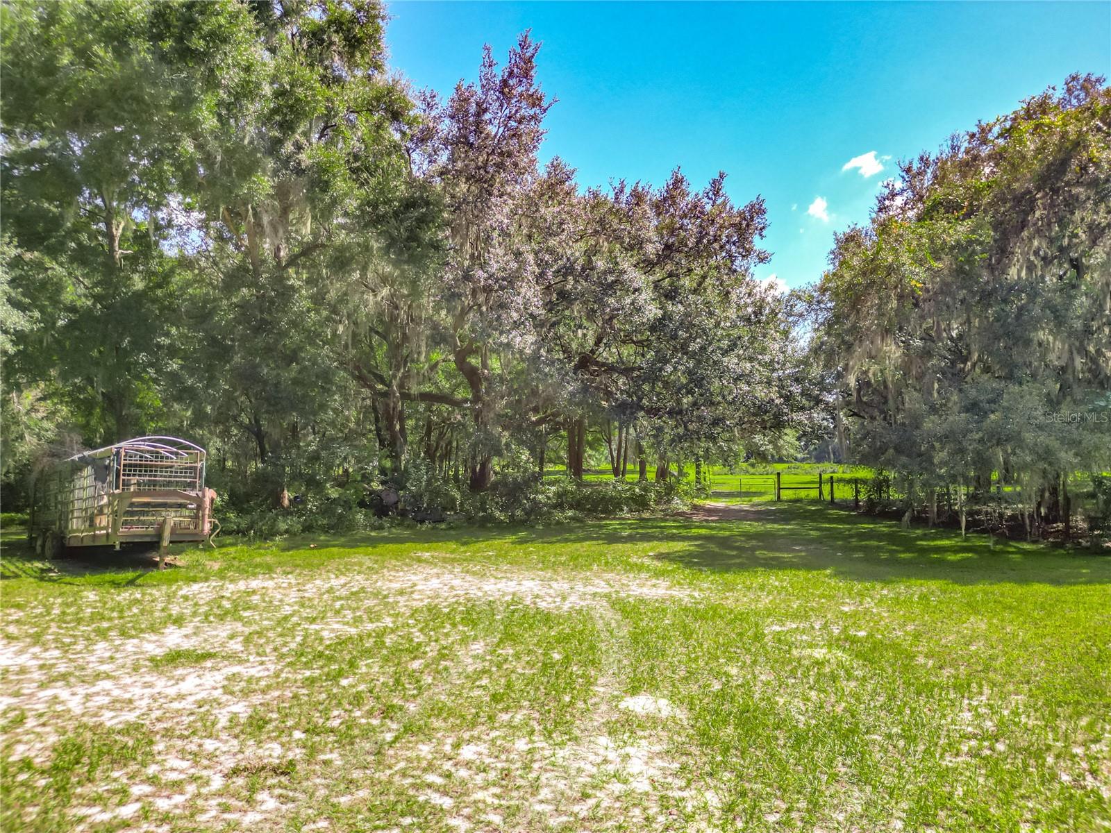 Image 82 of 98 For 12611 36th Avenue